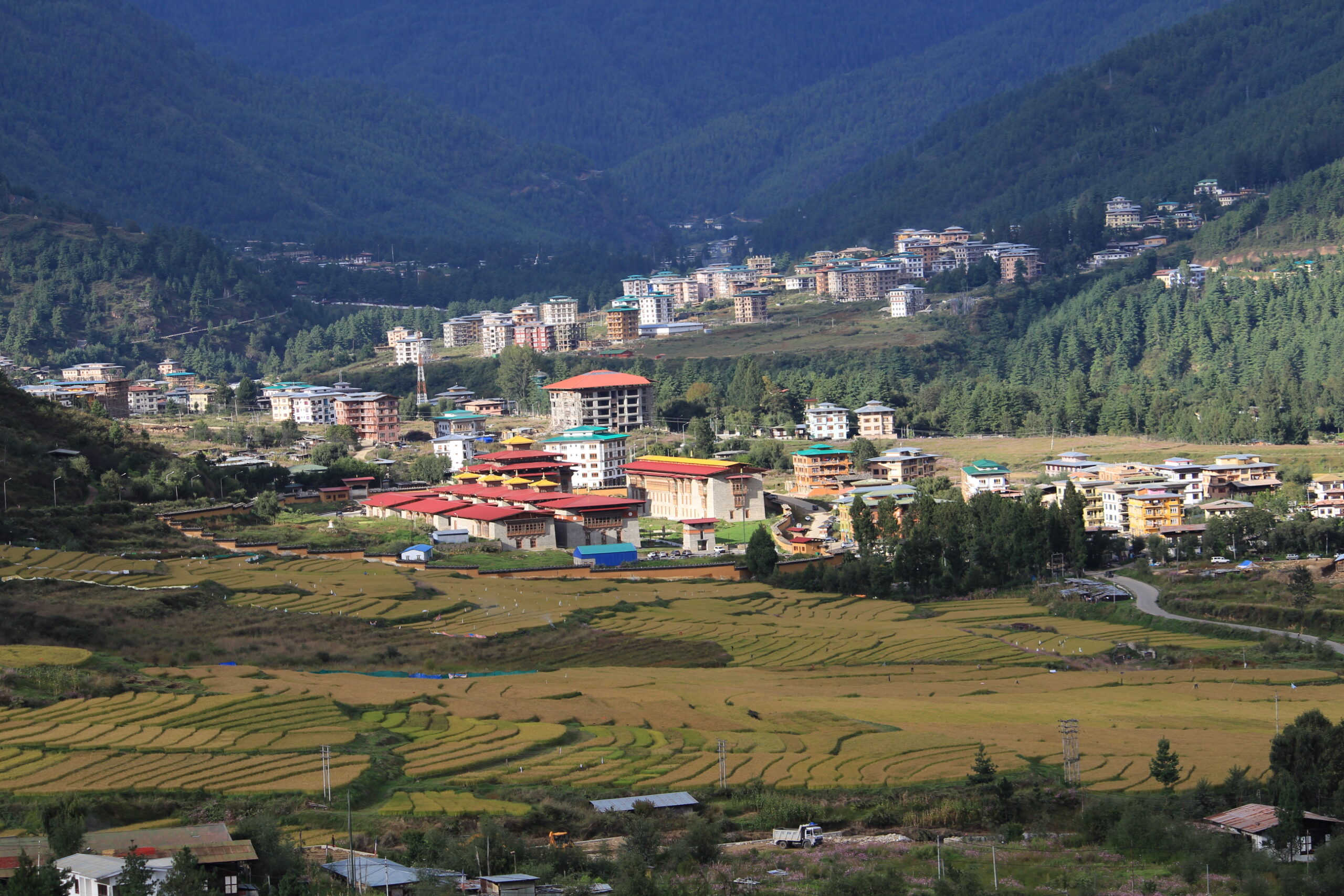 Food and Agricultural Products