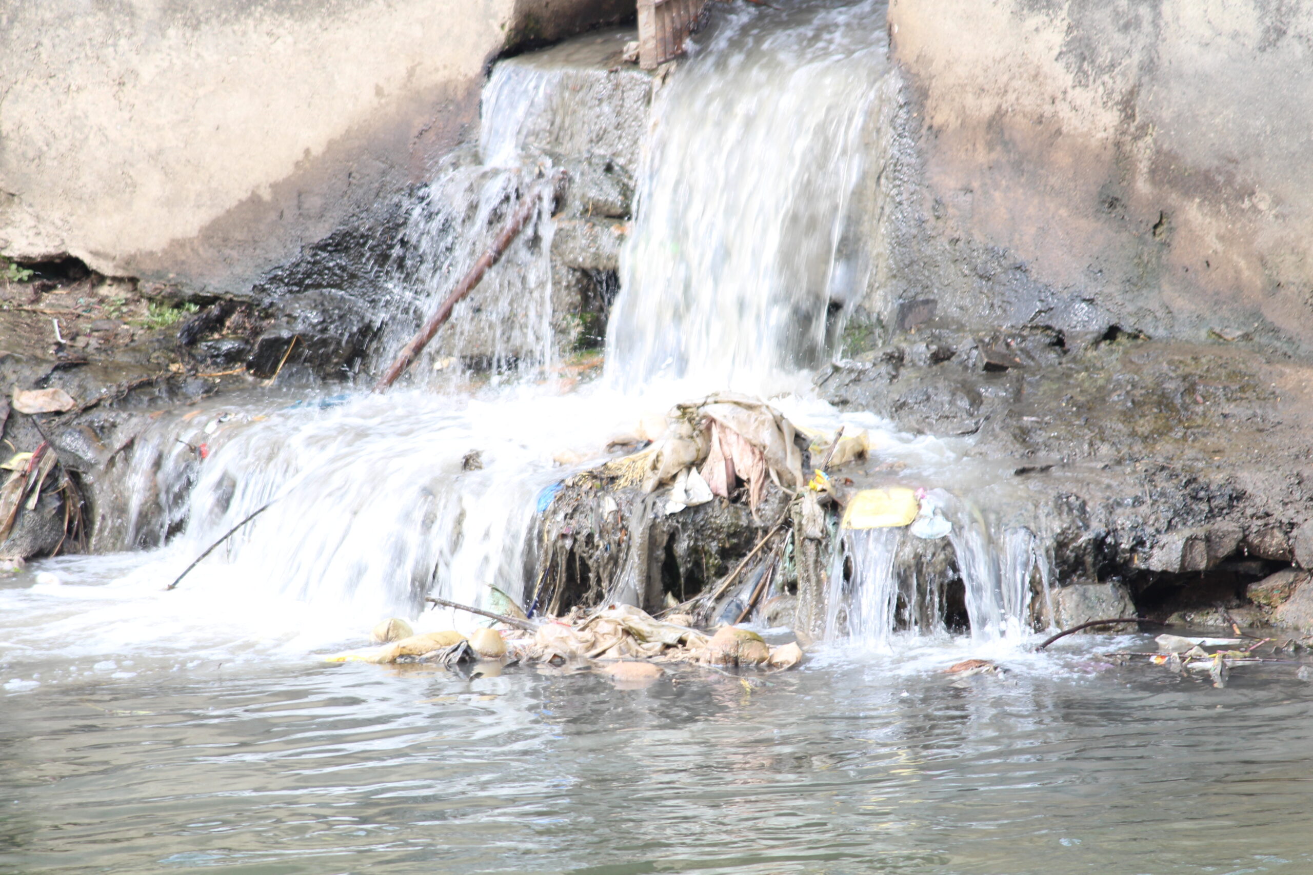 Environment Management Standards